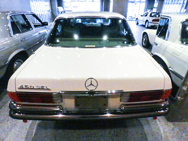 P1070505_R_edited_edited_edited